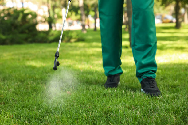 Best Pest Inspection Near Me  in Somerset, TX