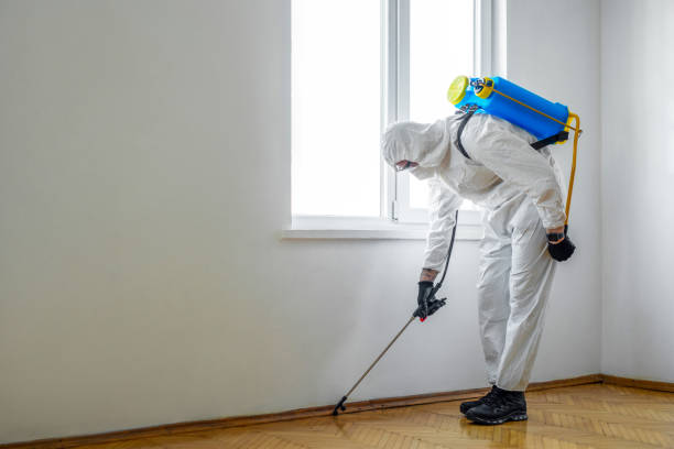 Best Pest Control Near Me in Somerset, TX