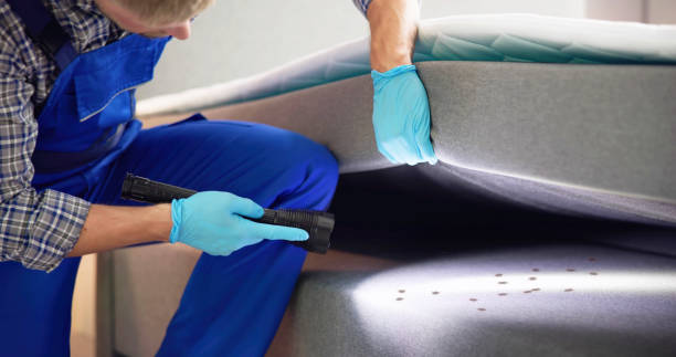 Best Exterminator Services  in Somerset, TX