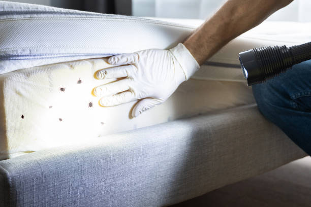 Best Best Pest Control Near Me  in Somerset, TX