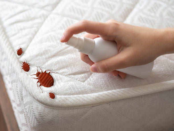 Pest Prevention Services in Somerset, TX