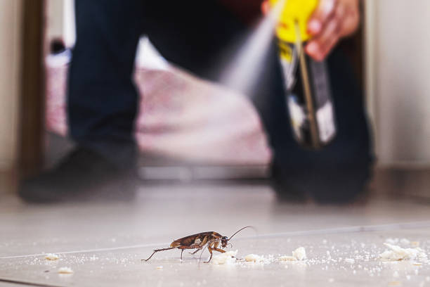 Best Mosquito Control Services  in Somerset, TX