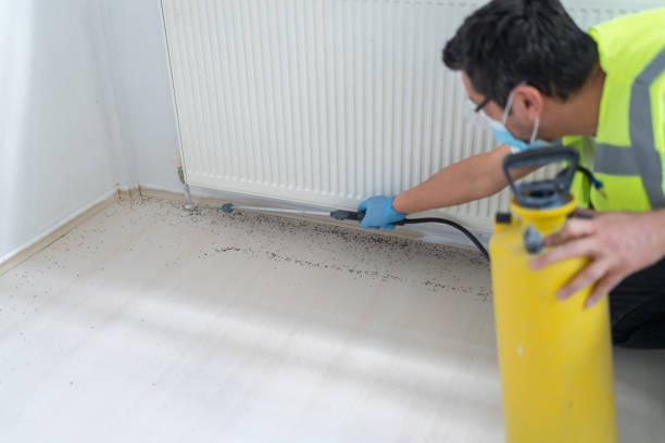 Best Ant Control Services  in Somerset, TX