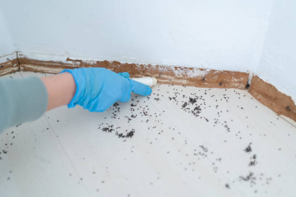 Best Commercial Pest Control Services  in Somerset, TX