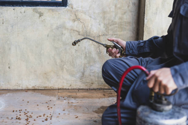 Best Affordable Pest Control Services  in Somerset, TX